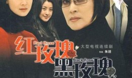 红玫瑰黑玫瑰在线观看,爱恨交织的复仇传奇